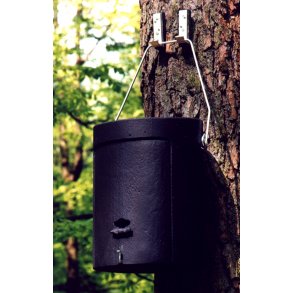 Flagermusredekasse, helrskasse, overvintring