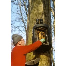 Flagermusredekasse, helrskasse, overvintring