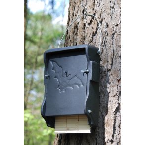 Flagermusredekasse 1FF