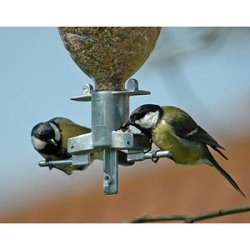 Soda Bottle Bird Feeder, frautomat, foderrr