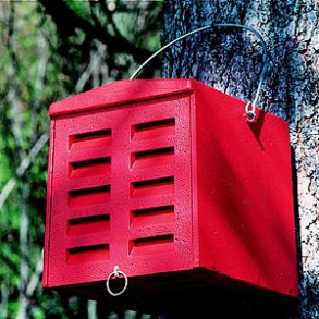 Guldjebox - bekmpelse af bladlus