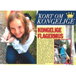 Flagermusredekasse 1FF