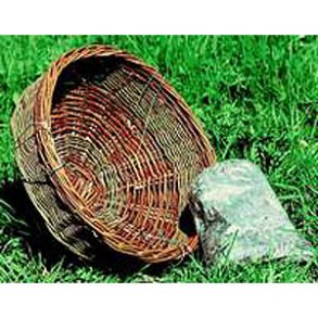 Trnfalkerede, skovhornuglerede, =40 cm