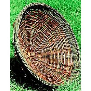 Musvgerede, hgerede, glenterede, =70 cm