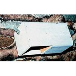 Vandstr og vipstjert