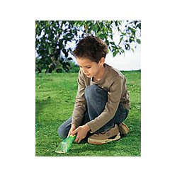 Snapy  din insektven